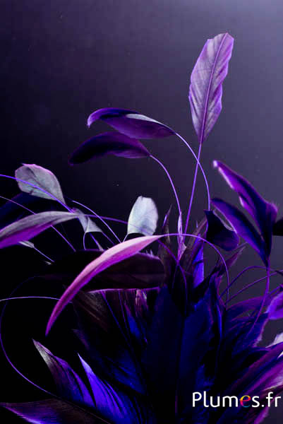 Coq Body Split - 23-28 cm - noir-aubergine